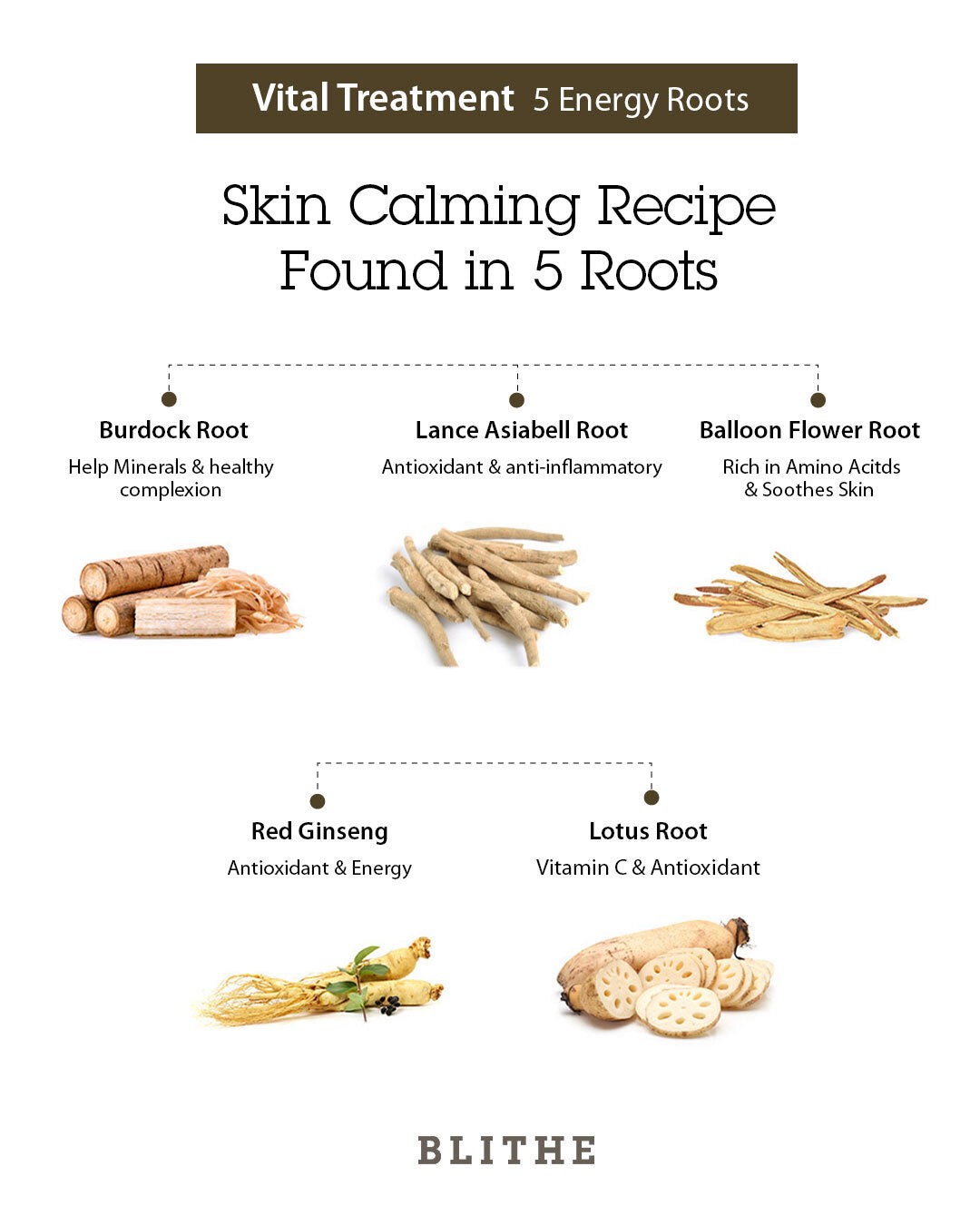 Vital Treatment (5 Energy Roots)