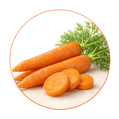 Carrot Extract
