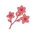Blossom
